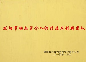 咸陽市腦血管介入診療技術(shù)創(chuàng)新團(tuán)隊