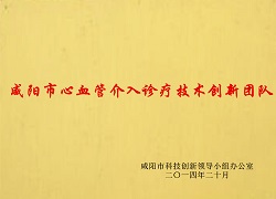 咸陽市心血管介入診療技術(shù)創(chuàng)新團(tuán)隊