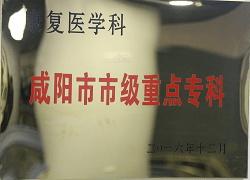 康復(fù)醫(yī)學(xué)科咸陽(yáng)市市級(jí)重點(diǎn)?？?><div   id=